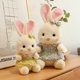 thumbnail image 1 of 32/40/48cm Cute Rabbit Plush Toy / Soft Floral Skirt Bunny Doll / Children's Birthday Gift / Christmas Gift zhangmengya LED, 1 of 2