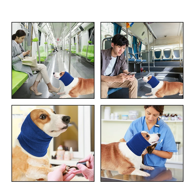 Thunder scarf for dogs 2025