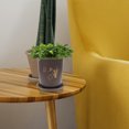 thumbnail image 4 of 2-Pack Orchid Flower Pots Plastic with Drainage Trays Imitation Porcelain Style Indoor Outdoor Plant Containers, 4 of 5