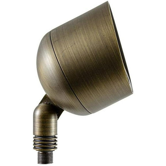 Dabmar Lighting LV27-L9-RGBW-WBS 12V Screw LED 9W RGBW Hood Cast Brass Spot Light, Weathered Brass