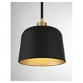 thumbnail image 5 of Trade Winds Nora 1-Light Pendant in Matte Black with Natural Brass, 5 of 5