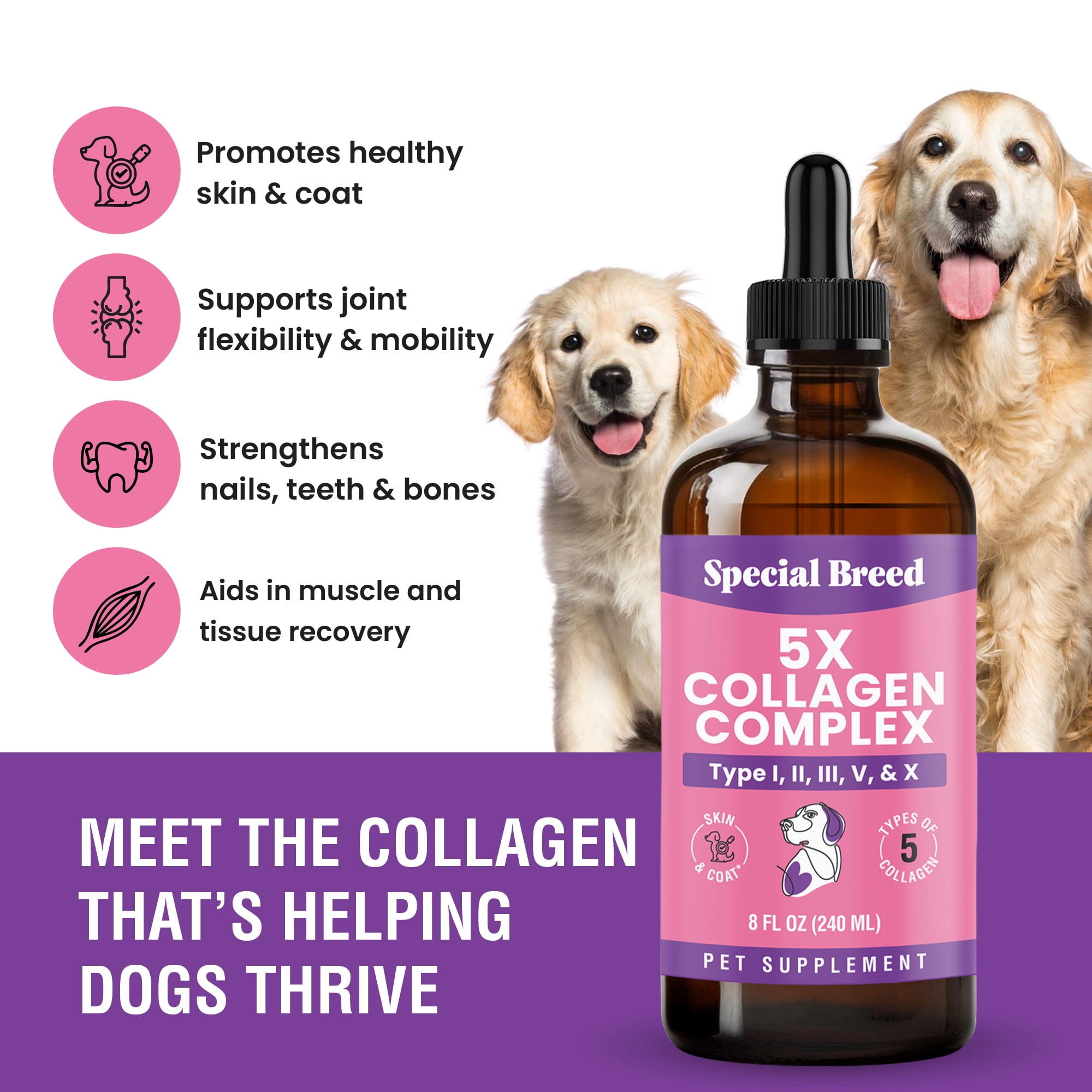 Premium Collagen for Dogs - Liquid Support for Joints, Skin, Coat, Bone, Immune System & HIPS - Collagen Supplement - Made in USA - 8oz
