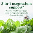 thumbnail image 4 of INNATE Response Magnesium 300 mg - Muscle Relaxation - Mineral Supplement - 60 Servings, 4 of 7