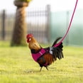thumbnail image 5 of Visland 1 Set Adjustable Chicken Harness and Leash for Hen Roosters Comfortable Hen Pet Vest with Matching Belt Breathable Chicken Training Harness for Chicken, Duck or Goose, 5 of 8