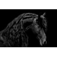 thumbnail image 2 of Carter, Samantha 14x11 White Modern Wood Framed Museum Art Print Titled - Classic Black II, 2 of 4