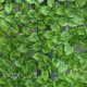 thumbnail image 2 of Valla de pared de plástico con plantas de simulación, pared exterior, decoración de hojas verdes, barandilla para balcón, refugio y embellecimiento de pared de plantas, 2 of 5