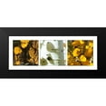 thumbnail image 2 of Tenoever, William 14x8 Black Modern Framed Museum Art Print Titled - Fall Colors Collage 4, 2 of 5