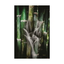 Trademark Fine Art 'Wet Bamboos' Canvas Art by Philippe Sainte-Laudy