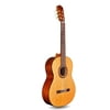 Cordoba C5 Lefty Iberia Series Acoustic Nylon-String Guitar, Rosewood