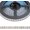 DC12 V 5 m/16.4 ft, variant on Brightest RGB CCT LED Strip Lights Outdoor IP67 Color Changing 24V 270LEDs/m Super Bright RGBWW LED Strip 16.4ft (DC24V IP67)