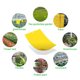 thumbnail image 5 of Trampas adhesivas amarillas para mosquitos de dos cara para plantas voladoras de interior / exterior, hongos, mosquitos, moscas blanca -dix piezas 10 piezas CUTICAT Trampas pegajosas amarillas de doble cara, 5 of 8