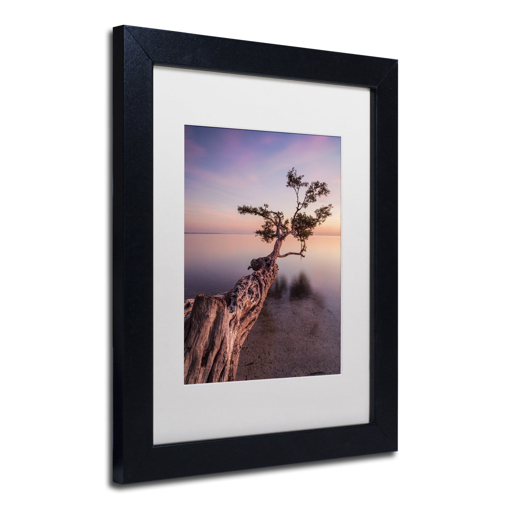 Moises Levy 'Water Tree IV' Matted Framed Art