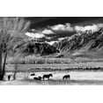 thumbnail image 2 of The Yellowstone Collection 24x17 Gold Ornate Wood Framed with Double Matting Museum Art Print Titled - In the Shadow of the Mountain Range, 2 of 4