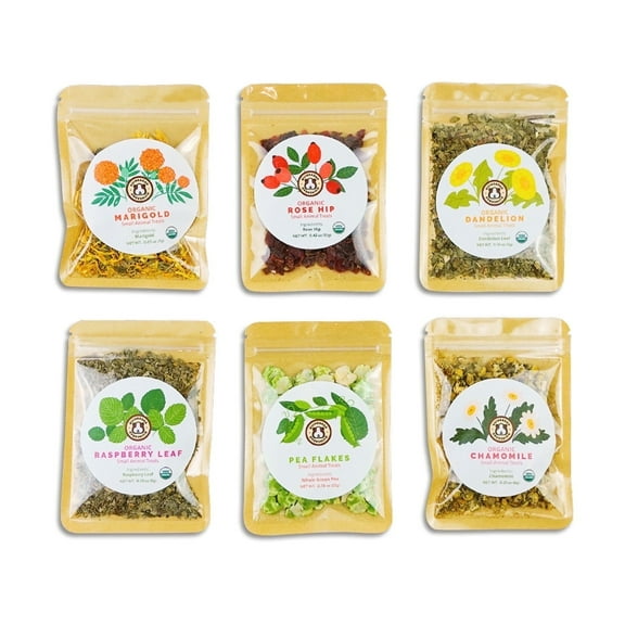 GuineaDad Yummy Guinea Pig Treat Sampler (6 Flavors)