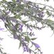 thumbnail image 3 of IDEANATEGRATE Ramo De Lavanda Artificial Con Plásticos Versátiles Para En Cualquier Ambiente, 3 of 6