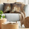 thumbnail image 5 of Ambesonne Winter Throw Pillow Cover 2 Pack, Valetines Day Flowers, 20", White Black and Brown, 5 of 5