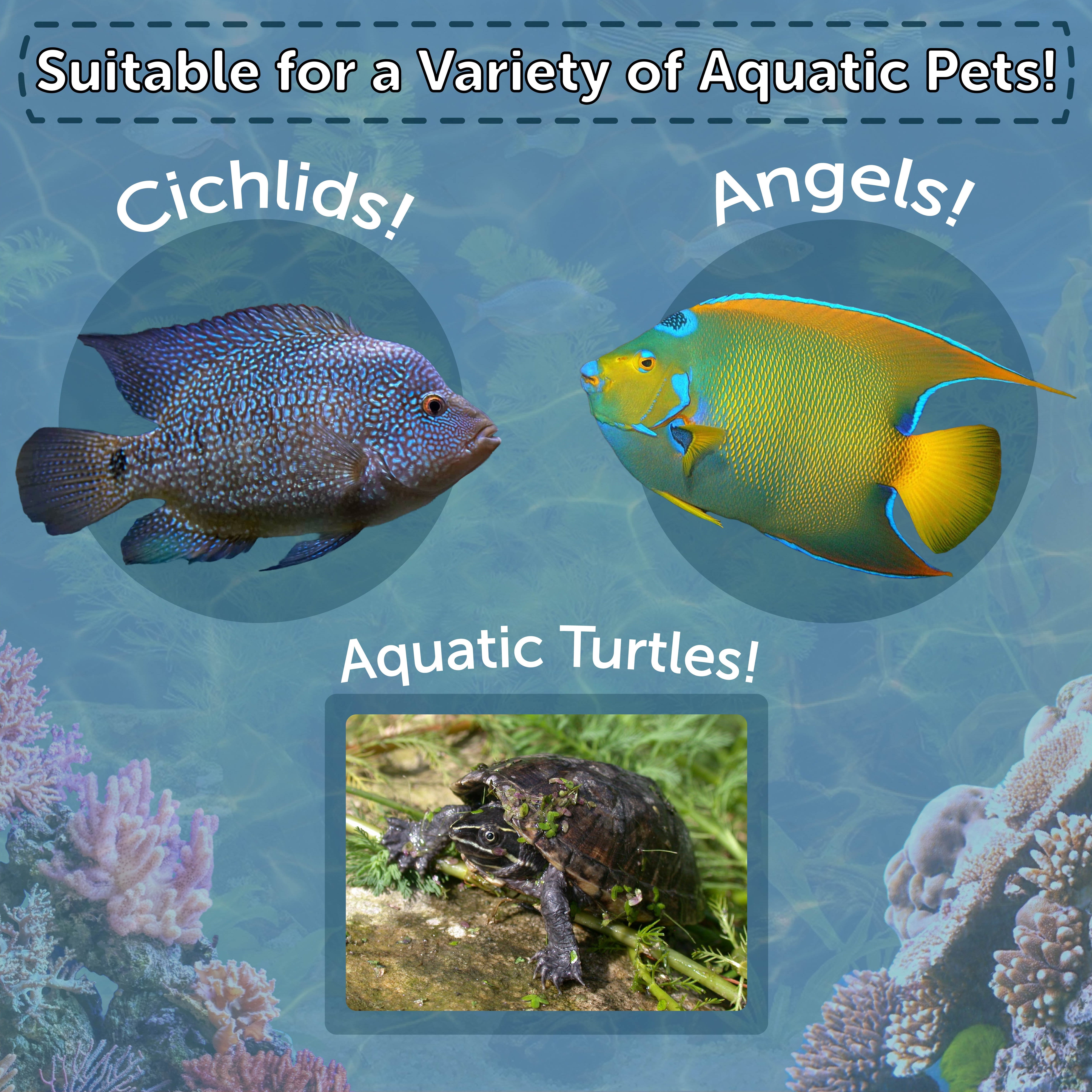 Freeze Dried Red Shrimp 3/8"-1/2" - Cichlids, Turtles, Oscars, Koi, & Piranhas...3-lb