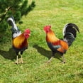 thumbnail image 2 of 2 piezas Acrílico Rooster Yard Arts Decorative Grooster en forma de colchoneta de la césped estacas de césped, 2 of 5