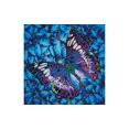thumbnail image 1 of Diamond Dotz Kit Intermediate Flutter By Mauve, 1 of 2