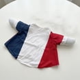 thumbnail image 5 of Porch Goose Outfits for Independence Day, 23in Gooses Clothes Flag Porch Courtyard Clothes, Cement or Plastic Porch Goose Costume for Yard Lawn Outdoor Garden Patio Statue, 5 of 5