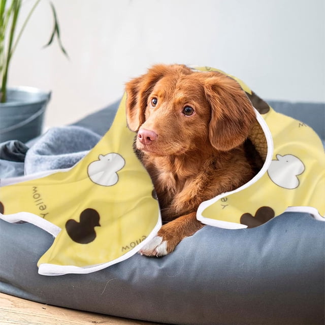 TIMIFIS Couverture Imprimée pour Animal de Compagnie, Couverture d'Hiver Chaude, Convient pour Dormir à l'Intérieur en Hiver