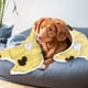 thumbnail image 1 of Manta Estampada para Mascotas onlyliua Cálida y Adecuada para El Invierno, 1 of 5