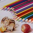 thumbnail image 4 of 72 Color Premium Pre-Sharpened Oil Based Colored Pencils Set for Kids Adults Artist Art Drawing Sketching Writing Artwork Coloring Books, 4 of 5