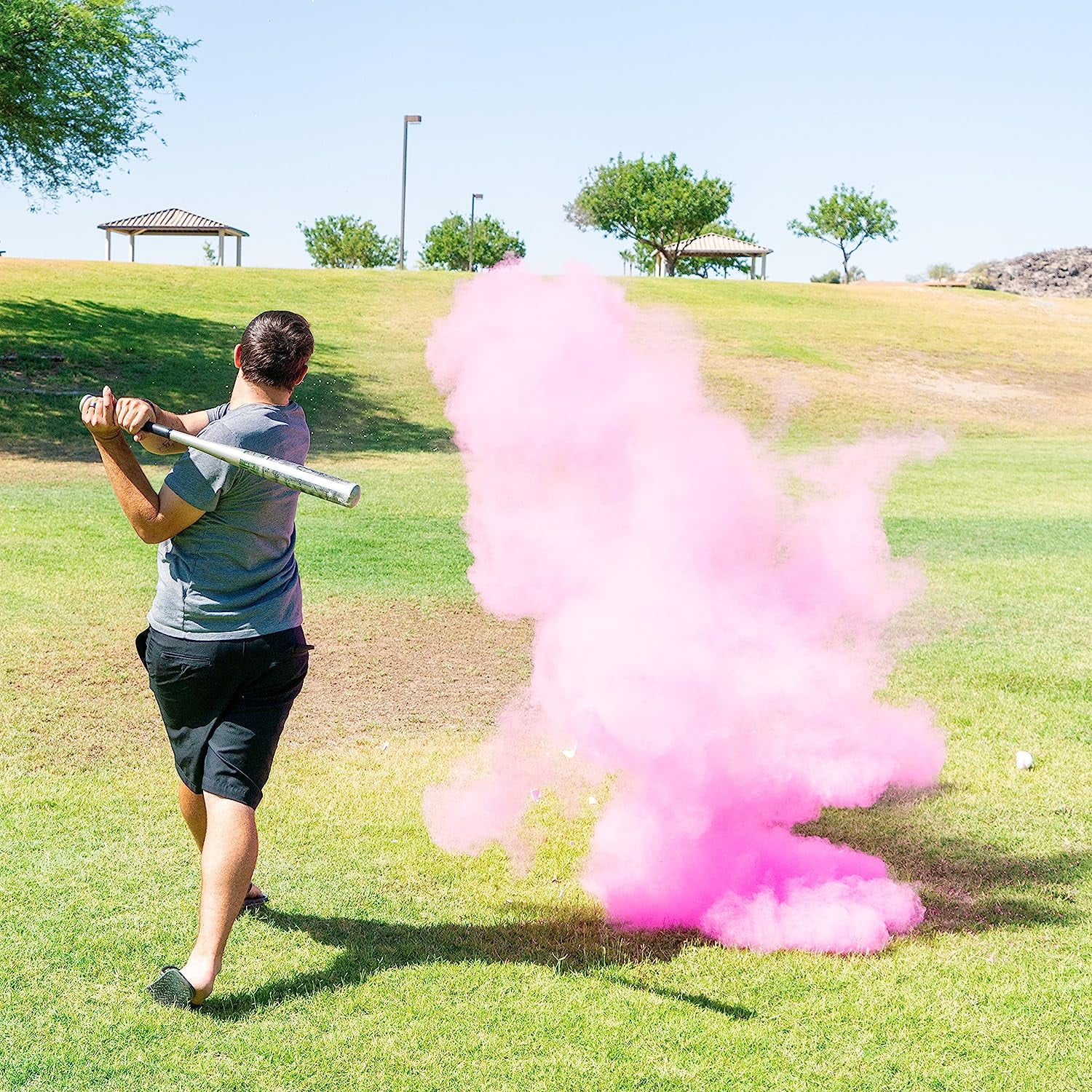 Gender Reveal Baseball - 2 Pack – Peacock Powder