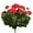 Red, variant on Vickerman 17.5" Artificial White Polyester Geranium Bush X 12