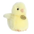 thumbnail image 1 of Aurora Stuffed Animals -Ameraucana Chick 5.5", 1 of 2