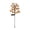 G, variant on Qwtwty Solar Halloween Lights Outdoor Decorations, Garden Landscape Stake Lighting for Path, Yard, Walkway, Driveway Decor, Tool-Free Setup
