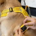 thumbnail image 4 of Chewie Cozy Harness, Getchewie Dog Harness, Get Chewie Reflective Adjustable Comfortable Pet Chest for Small Medium Large Dogs (Red, L), 4 of 6