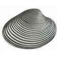 thumbnail image 3 of Acorn Manufacturing DP3GP Artisan Collection Clam Shell Knob, Museum Gold, 3 of 3