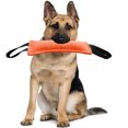 thumbnail image 3 of Interactive Dog Bite Stick Teeth Cleaning Training Equipment - Engaging Biting Cushion for Dogs, 3 of 8
