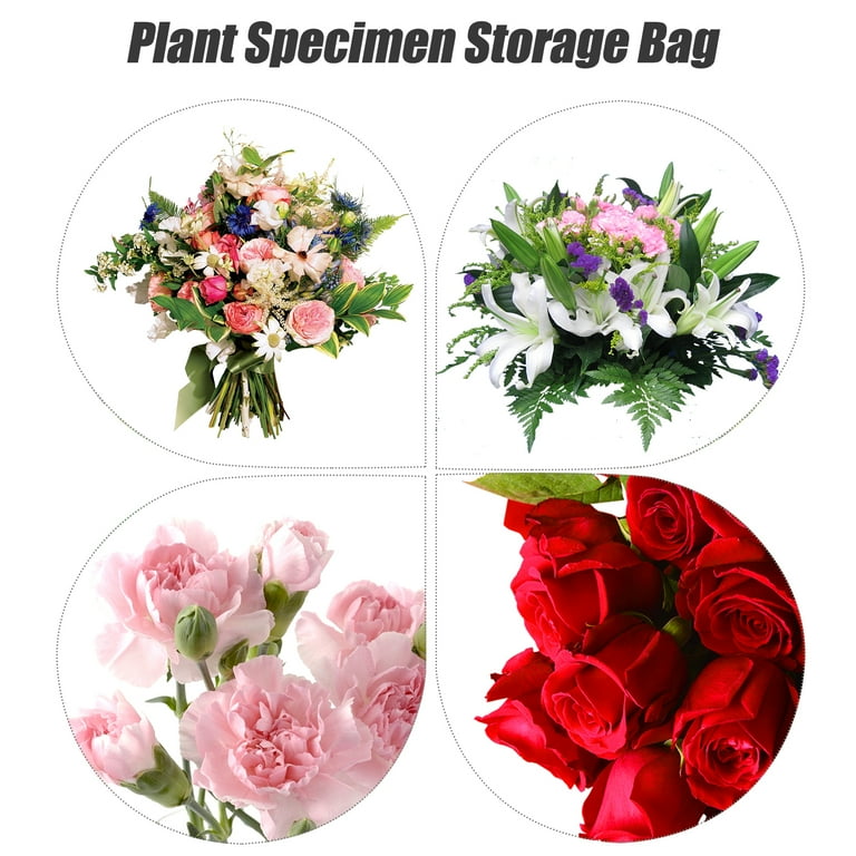 6 Sets Floral Storage Bag Pressed Flower Self sealing Plant Decor Bags Dry Flowers Dried Clear Sleeves Walmart