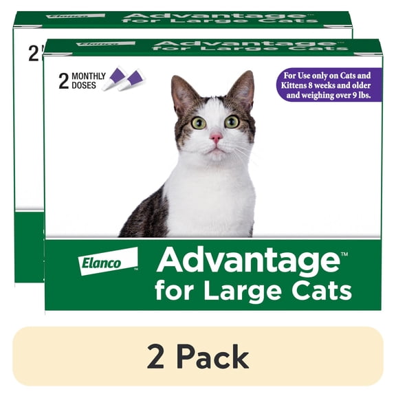 (2 pack) Advantage Topical Flea Treatment & Prevention For Large Cats Over 9 lbs. (2 Count)