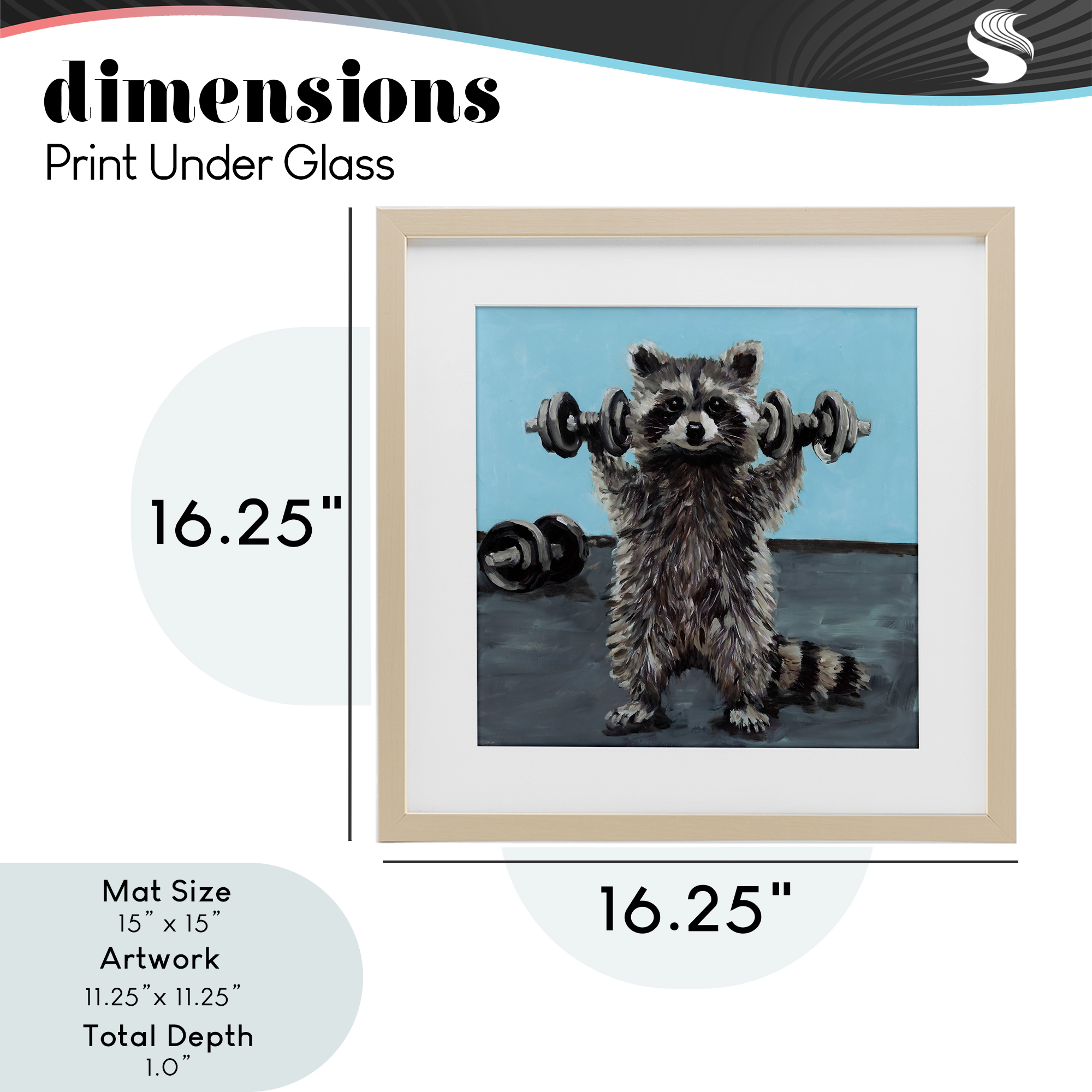 Fitness Raccoon with Weights Birch Framed Print Under Glass, design by Studio Bautista