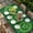Green, variant on St. Patrick's Day Table Cloths for 5 Foot Rectangle Tables, Farmhouse Green Lucky Clovers Border Patio Waterproof Elastic Fitted Tablecloths, Washable Rectangular Table Cover for Camping