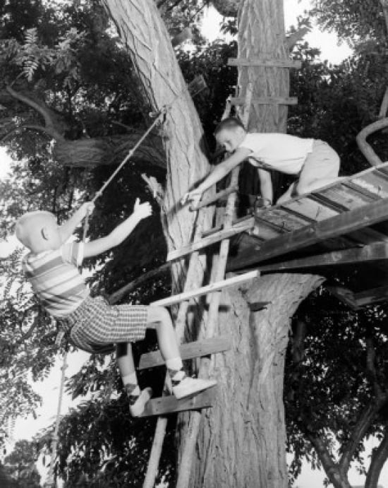 Low angle view of two boys playing in a tree house Poster Print (24 x ...