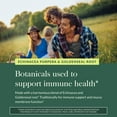 thumbnail image 5 of Gaia Herbs Echinacea Goldenseal - Immune Support with Echinacea & Goldenseal Root - Traditionally Used to Help Maintain a Healthy Respiratory System* - 60 Vegan Liquid Phyto-Caps (30 Servings), 5 of 9