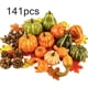 thumbnail image 2 of Accesorios para cosecha de calabazas, 141 piezas Simulación de acción de gracias Calabaza Bellota Artificial Calabaza falsa Hoja de arce Construcción robusta, 2 of 8