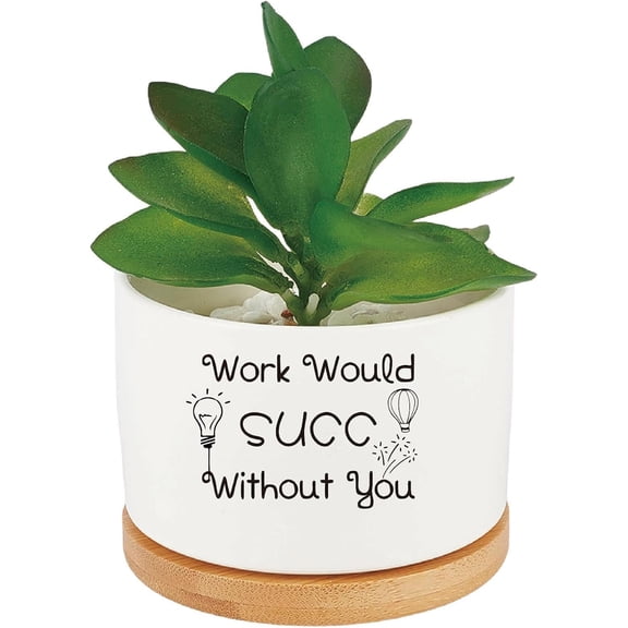Work World SUCC Without You Planter Pot Funny Succulent Plant Pots Cactus Flower Porcelain Holder Container Wood Drainage Hole Home Office Decoration for Friends Coworker Gift(No Plants) Colorful