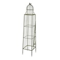 thumbnail image 4 of Meryl Plant Trellis Set of 2, Garden Tall Cage Design, Green Metal, 4 of 6