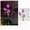 Purple, variant on Solar Tulip Stake Lights, 31.5 Inch Outdoor Garden Pathway Lamp, Waterproof LED Flower Decor, for Yard Lawn Patio