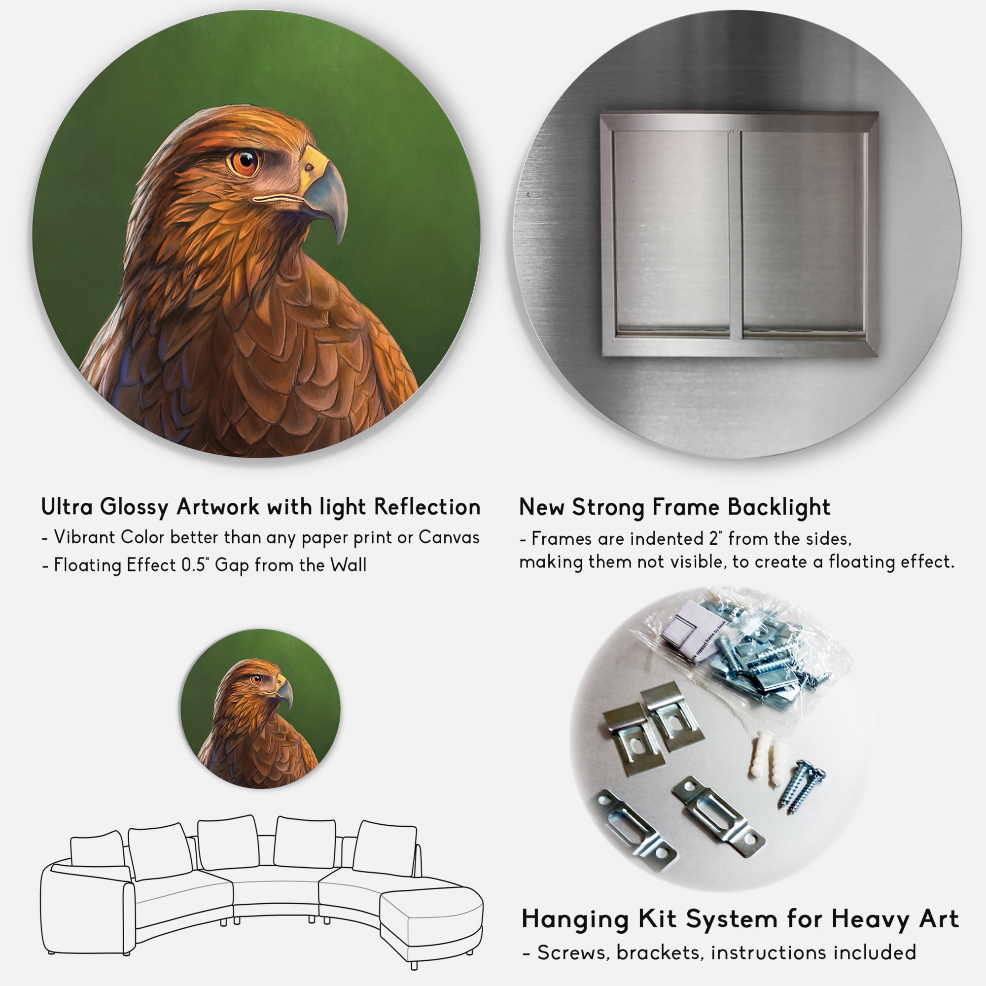 Designart 'Close UP Of Harris Hawk Bird' Traditional Circle Metal Wall Art 29x29 - Disc of 29