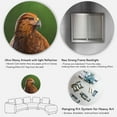 thumbnail image 5 of Designart 'Close UP Of Harris Hawk Bird' Traditional Circle Metal Wall Art 11x11 - Disc of 11, 5 of 5
