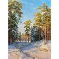 thumbnail image 3 of Basov, Sergej 11x14 Black Modern Framed Museum Art Print Titled - Winter noon, 3 of 5