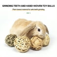 thumbnail image 3 of BESTSKY Rabbit Chew Toys,Natural Apple Wood Chew Toys,Interactive Rattan and Seaweed Guinea Pig Toys,Stress-Relieving Chew Toys for Healthy Rabbit Teeth, 3 of 5