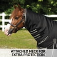 thumbnail image 3 of STORM SHIELD Classic II Attached Neck Pony Turnout Sheet | Black | 64, 3 of 13