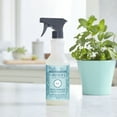 thumbnail image 4 of Mrs. Meyer's Clean Day Mint Multi-Surface Everyday Cleaner, 16 oz, 4 of 6